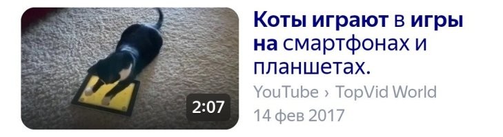 Наш ответ берлинскому фестивалю фурри: в Волгодонске бабушка вывела внука-квадробера на поводке