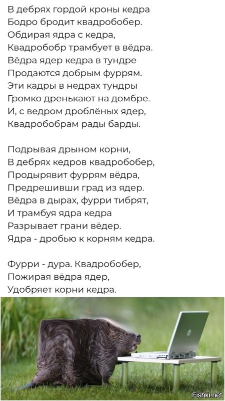 Наш ответ берлинскому фестивалю фурри: в Волгодонске бабушка вывела внука-квадробера на поводке