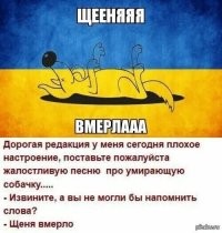 Суицидальные наклонности достигли своего апогея