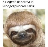 И сидит, такой