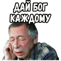 В Дании мужчины случайно обнаружили половой орган кита и отдали его на заморозку