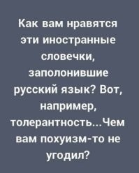 Российским школам предложили заменить слова «буллинг» и «толерантность» на нейтральные