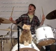 Профессиональный пушистый вокалист