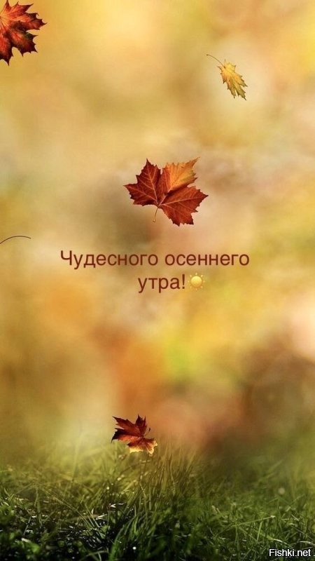 С добрым утром