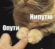 .