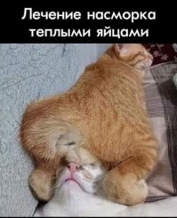 Намешалось