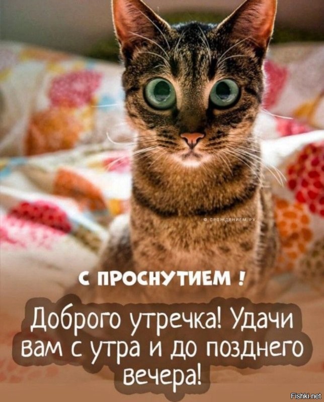 Доброе утро