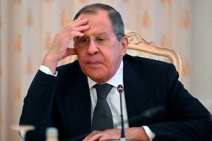 Важное напоминание о том, насколько человеческая плоть бессильна перед гусем