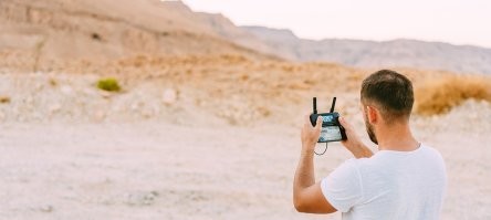 Чайка чуть не лишила девушку купальника