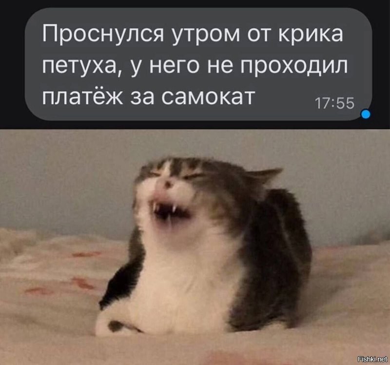 19-летний вандал осквернил могилу Александра Маслякова
