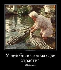 Мужчина качает своего кота на качелях