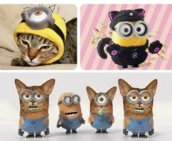 Кошка не хочет отдавать бананы