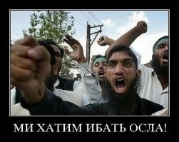 Немецким проводникам разрешили не проверять билеты у мигрантов ... чтобы их не били