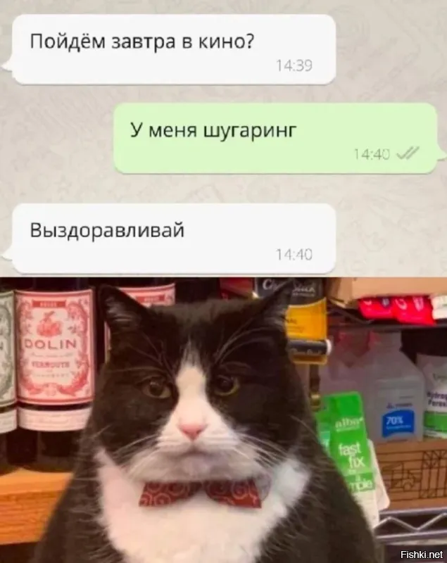 Солянка от 24.09.2024