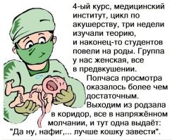 Правительство поддержало законопроект о штрафах за пропаганду чайлд-фри