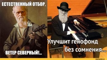 Прыжки на скакалке на высоте
