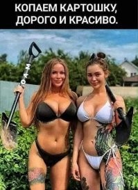 Отдельный жанр