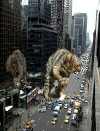 &nbsp;Намешалось&nbsp;