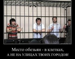 "Вы кто такие вообще?": в Дагестане три пьяных кавказца после погони напали на сотрудников ДПС
