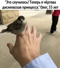 Диснеевская принцесса в реальной жизни