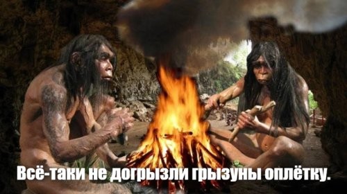 Политический мониторинг (459)