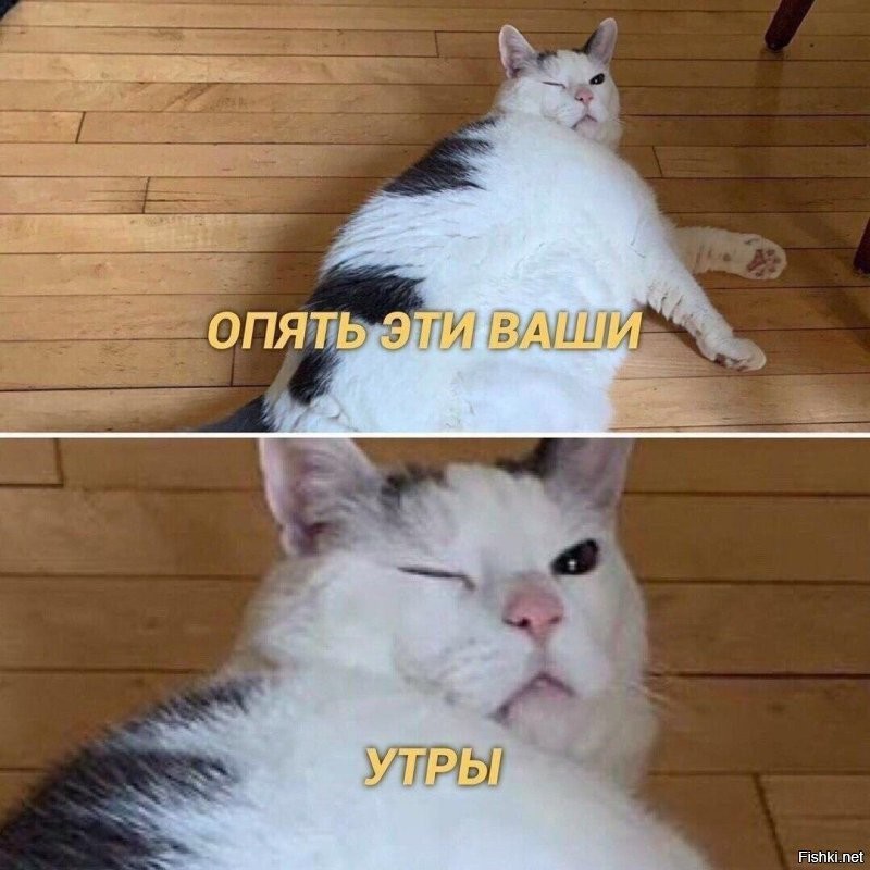 Доброе утро