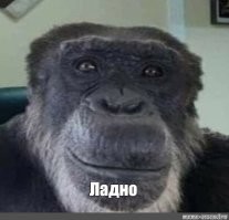 То есть, пока не слышно.