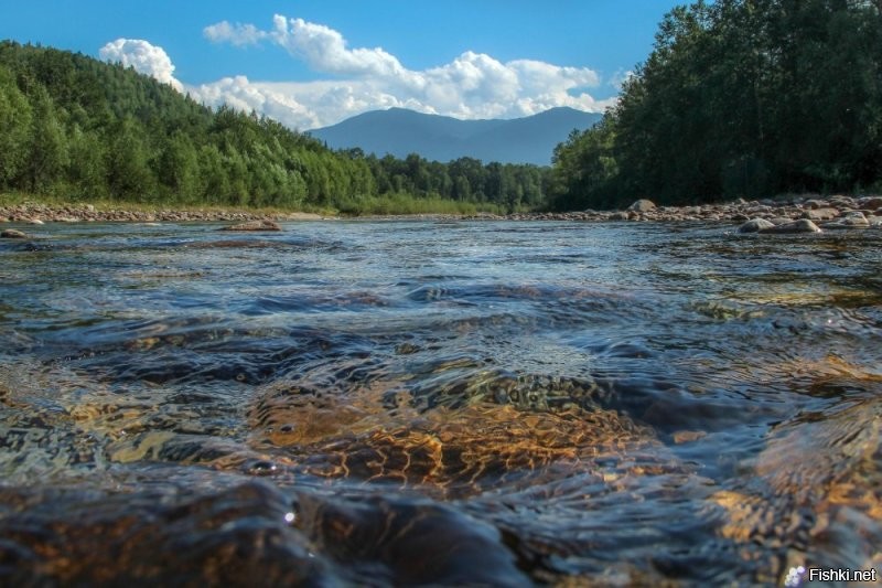 Байкальский заповедник