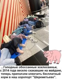 Страдания майдауна: в Шереметьево не пускают, нашли какую то хрень в телефоне