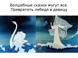 Мужчина спас лебедя и&nbsp;обрёл друга