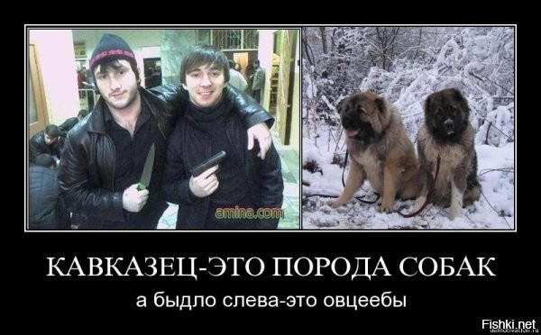 "Перед тем, как их сюда пускать, надо проверить справку от психиатра!": полуобнажённая туристка снялась на фоне гор и вызвала возмущение у кавказцев