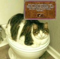 Не ищите здесь смысл. Здесь в основном маразм