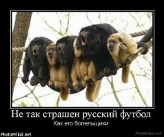 Бледный саки: хищники недолюбливают этих приматов