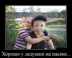 Политический мониторинг (460)