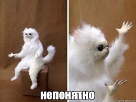 Как выглядит настоящее счастье: фотограф путешествует со своими четвероногими друзьями