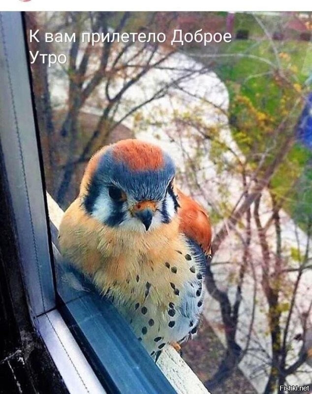 С добрым утром