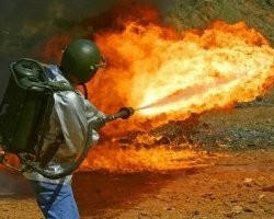 Депутат Госдумы обратился в Минюст с просьбой сокращать зэкам срок за прочитанные книги