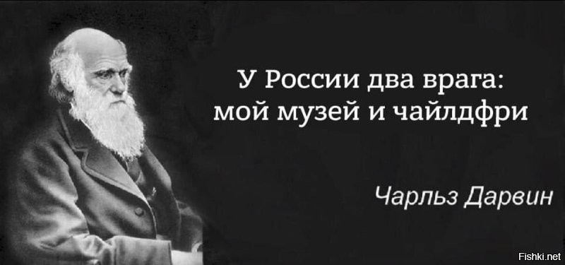 Солянка от 27.09.2024