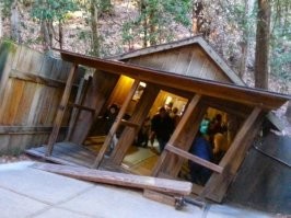 Мужик в Америке дом без всякого уровня построил, народ теперь дуром валит.