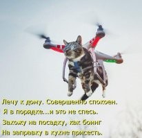 Как домашние питомцы реагируют на разную бытовую технику