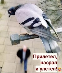 Политический мониторинг (461)