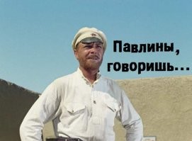 Собор Иоанна Богослова и его крылатые прекрасные обитатели