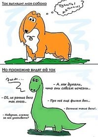 Из личных наблюдений