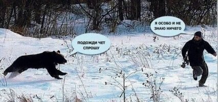 Медведи заполонили Камчатку