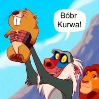 Ликвидация бобровой плотины