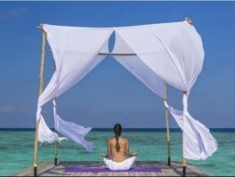 Под надежной защитой: лебедята сидят под крыльями мамы