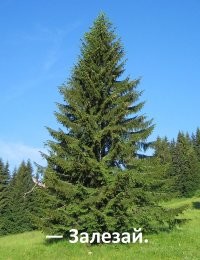 Не ищите здесь смысл. Здесь в основном маразм