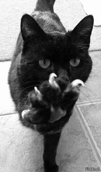 Ты на кого батон крошишь?