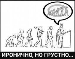 «Прямой наводкой движемся в Средневековье»: антрополог Дробышевский прокомментировал возможный запрет на изучение теории эволюции в школах
