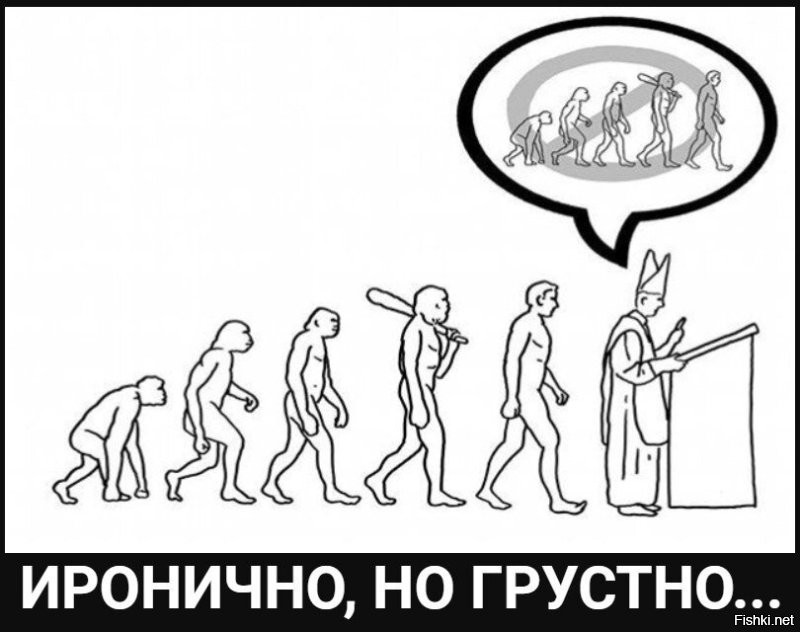 «Прямой наводкой движемся в Средневековье»: антрополог Дробышевский прокомментировал возможный запрет на изучение теории эволюции в школах